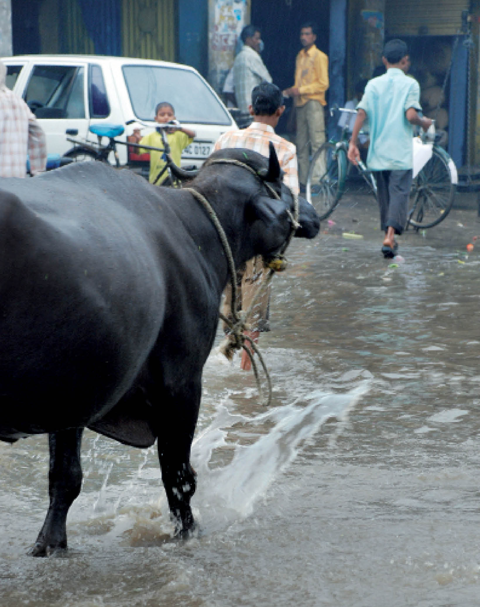 Global Temperature and Indian Monsoon